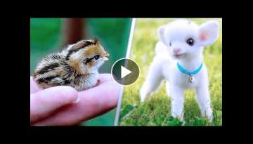 15 Cutest Pets You Can Legally Own 15 Cutest Pets You Can Legally Own