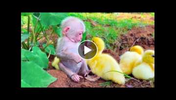 20 Cutest Baby Animals That Will Make You Go Aww 20 Cutest Baby Animals That Will Make You Go Aww
