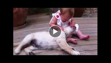 Golden Retriever Puppy Welcomes Adorable 8-Month-Old Girl Golden Retriever Puppy Welcomes Adorable 8-Month-Old Girl
