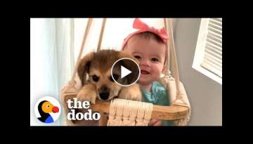 This Puppy And Baby Sister Are Perfectly In Sync With Everything They Do | The Dodo Soulmates This Puppy And Baby Sister Are Perfectly In Sync With Everything They Do | The Dodo Soulmates