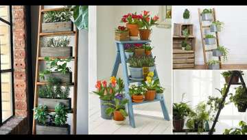 15 Functional Indoor Ladder Planter Ideas 15 Functional Indoor Ladder Planter Ideas