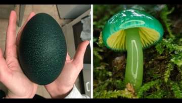 20 Nature Wonders That Have Gone Unnoticed By People 20 Nature Wonders That Have Gone Unnoticed By People