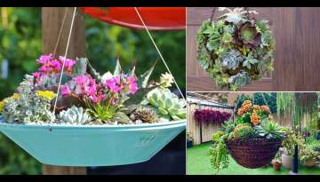 28 Beautiful Succulent Hanging Garden Ideas 28 Beautiful Succulent Hanging Garden Ideas