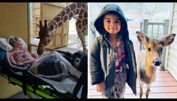 30 Pictures With Pure Happiness Content That Will Make Your Day Better 30 Pictures With Pure Happiness Content That Will Make Your Day Better