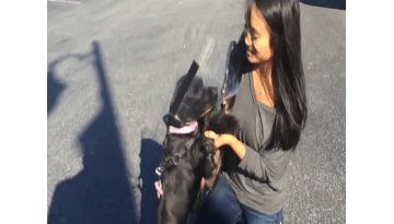 Blind Dog Gets Surgery And Can’t Contain Her Joy When She Sees World For First Time Blind Dog Gets Surgery And Can’t Contain Her Joy When She Sees World For First Time