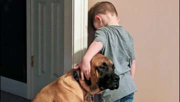 Dog Accompanies 3-Year-Old Boy During Timeout So He Won’t Feel Lonely Dog Accompanies 3-Year-Old Boy During Timeout So He Won’t Feel Lonely