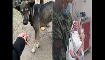Dog Refuses To Stop Barking Until Biker Follows Him To Abandoned Baby Dog Refuses To Stop Barking Until Biker Follows Him To Abandoned Baby