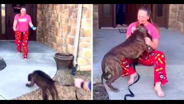 Girl In Tears As Parents Adopt Her Favorite Dog From Shelter She Volunteers At Girl In Tears As Parents Adopt Her Favorite Dog From Shelter She Volunteers At