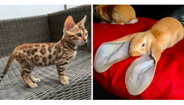 Incredible Examples Of How Nature Always Keeps On Giving And Amazing Us Incredible Examples Of How Nature Always Keeps On Giving And Amazing Us