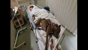 Loyal dog refuses to leave mom's side after saving her life Loyal dog refuses to leave mom's side after saving her life