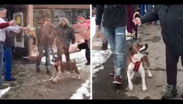 Shelter Has Happy Send-Off Celebration For Dog Adopted After 500 Days Shelter Has Happy Send-Off Celebration For Dog Adopted After 500 Days