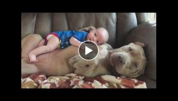 Dad Defends Letting His 1-Year-Old Son Nap and Cuddle With Huge Pit Bull