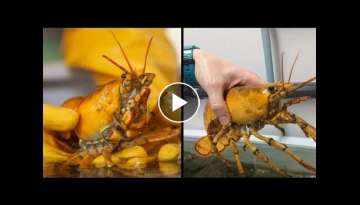 Banana The Yellow Lobster Is A One-In-30 Million Catch