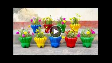 Make Beautiful Flower Baskets From Discarded Plastic Bottles | How to Grow portulaca