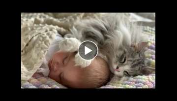 When Milo Met Mia | Cat Does Everything With Baby As They Grow Up (So Cute!!)