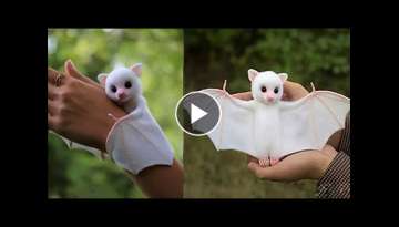 7 Exotic Animals You Could Have as a Pet 7 Exotic Animals You Could Have as a Pet