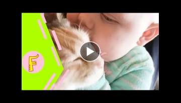 Baby and Cat Fun and Cute - Funny Baby Video Baby and Cat Fun and Cute - Funny Baby Video