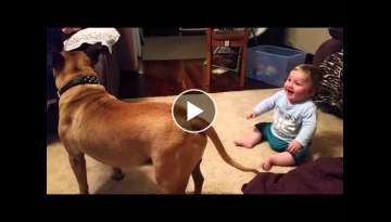 Baby laughing at dog & bubbles Baby laughing at dog & bubbles