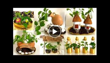 10 Indoor money plant decoration ideas-Easy money plant decoration idea