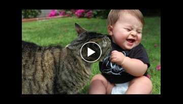 Funny Babies Laughing Hysterically at Cats Compilation Funny Babies Laughing Hysterically at Cats Compilation