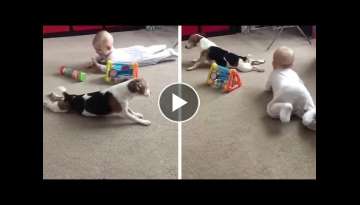 Adorable Dog Teaches Baby To Crawl