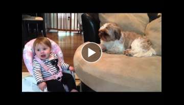 Baby STILL argues with Dog Baby STILL argues with Dog