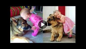 Baby Playing with German Shepherd Dog - There's nothing greater than Dog and Baby
