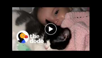 Tiny Rescue Kitten Refuses To Leave Baby Sister's Crib | The Dodo Soulmates Tiny Rescue Kitten Refuses To Leave Baby Sister's Crib | The Dodo Soulmates