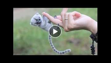 15 Smallest Animals In The World