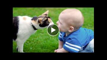 Cats and Dogs Meeting Babies for the First Time