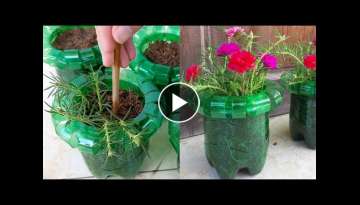 Awesome Idea | How to make a beautiful flowerpot by recycling plastic bottle