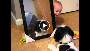 Baby hiding from a Shih tzu!!!