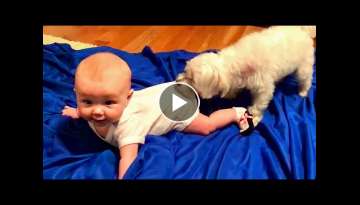 Cute Baby and Puppy Growing Up Together