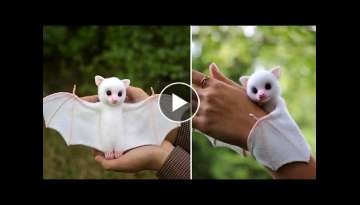 Top 10 Cute Animals In The World