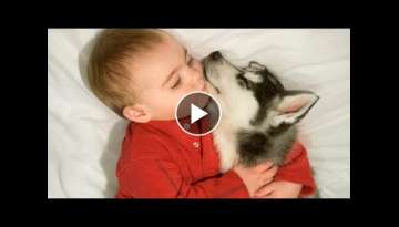 Cute Baby and Dog Sleeping All Days - Dog Loves baby Compilation