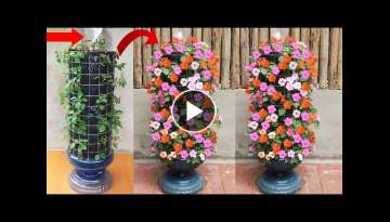 Creative Jade Flower Garden Ideas - How To Grow Beautiful Jade Flowers For The Garden