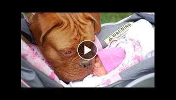 Try Not To Laugh With Funniest Moment Baby Sleep With Dog | Dog loves Baby