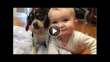 Cute Puppies and Babies Playing Together Compilation