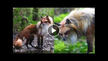 10 Mythical Creatures That Exist In The Wild