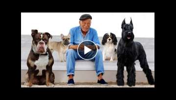 Top 10 best dog breeds for seniors in