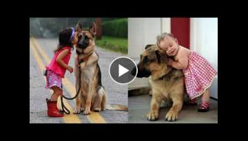 Babies and German Shepherd Dog are always Close Friends - Cute Baby and Pets Video