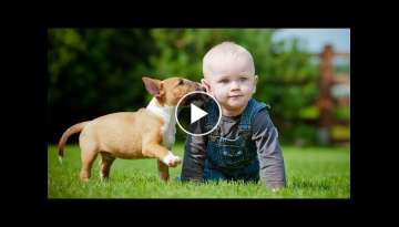 Puppies and Babies Playing Together Compilation Part 3