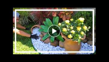 Sweet garden with yellow roses / Garden ideas. Sweet garden with yellow roses / Garden ideas.