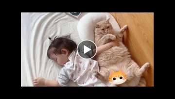 Little Girl Bonding With Her Cat Will Bring You Joy
