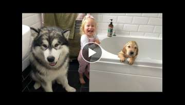 Adorable Baby Gives Golden Retriever Puppy Has His First Bath! (Cutest Ever!!)