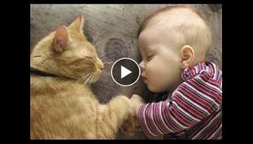 Cats Love Babies