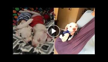 Foster Mom Finds Perfect Way To Comfort Lonely Pup Foster Mom Finds Perfect Way To Comfort Lonely Pup