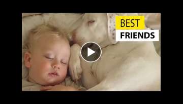 Cute Baby Playing With Dogs Compilation - Baby Pets Video