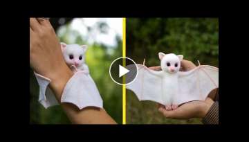 40 Baby Animals You’ve Never Seen Before