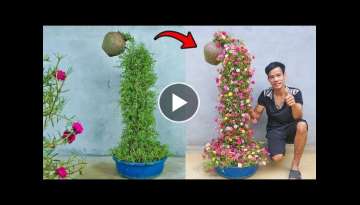 Unique gardening ideas, Make a decorative moss rose waterfall for the garden easily